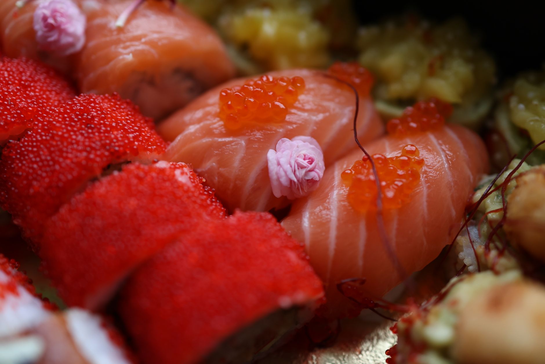 Nigiri sushi zblízka